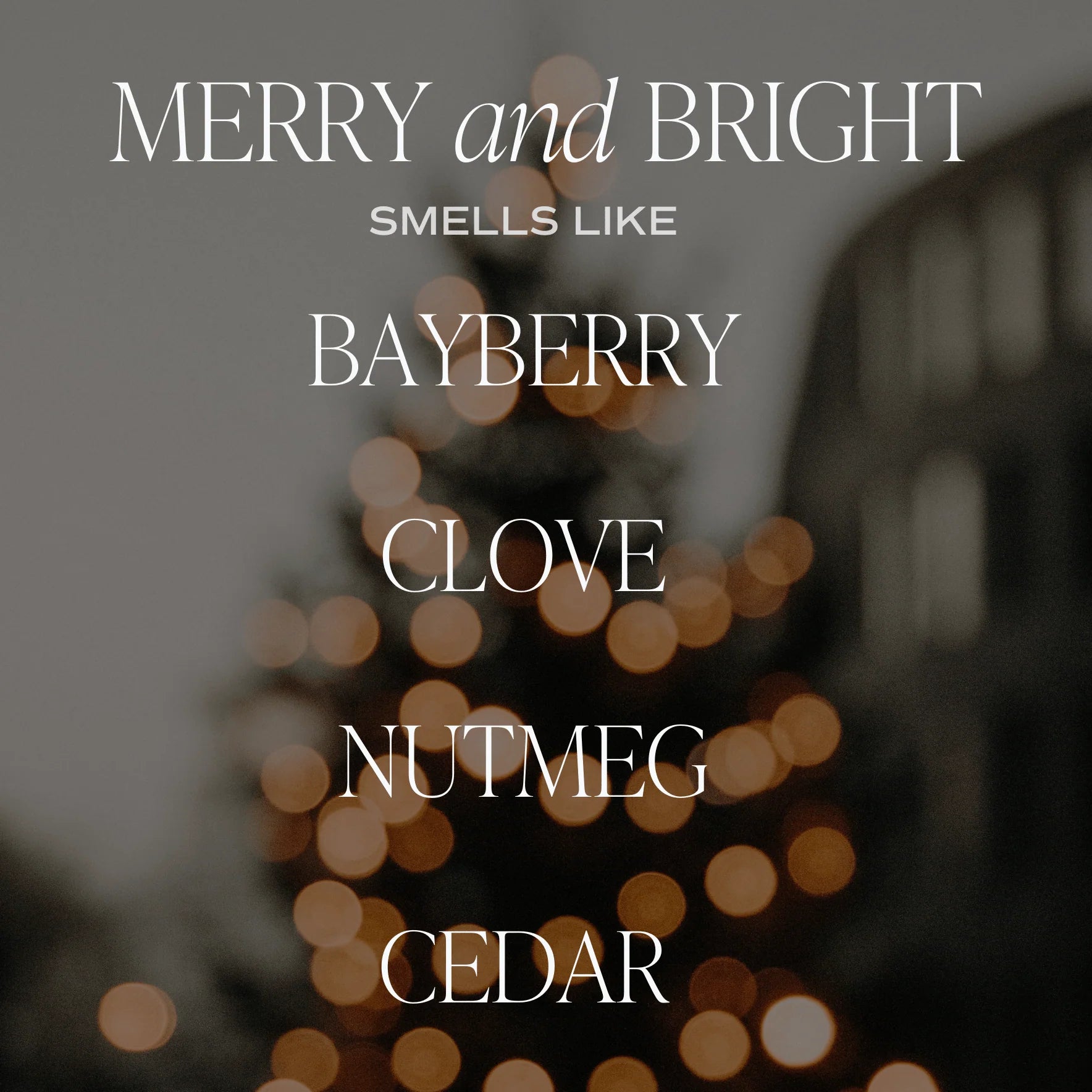 Merry and Bright Candle – Christmas Bayberry & Clove Scent | Holiday Gift